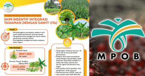 skim insentif integrasi tanaman dengan sawit mpob